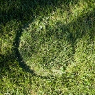 SALZIG Sporthocker Logo im Gras / Foto: Susanne Wilke