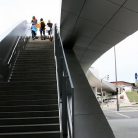 Die Suche / Foto: S. Wilke